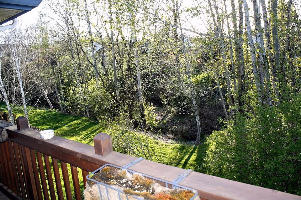 View from a wooden balcony overlooking a lush green garden area with various trees and bushes. The scene is bright with natural sunlight and shows a peaceful outdoor environment.