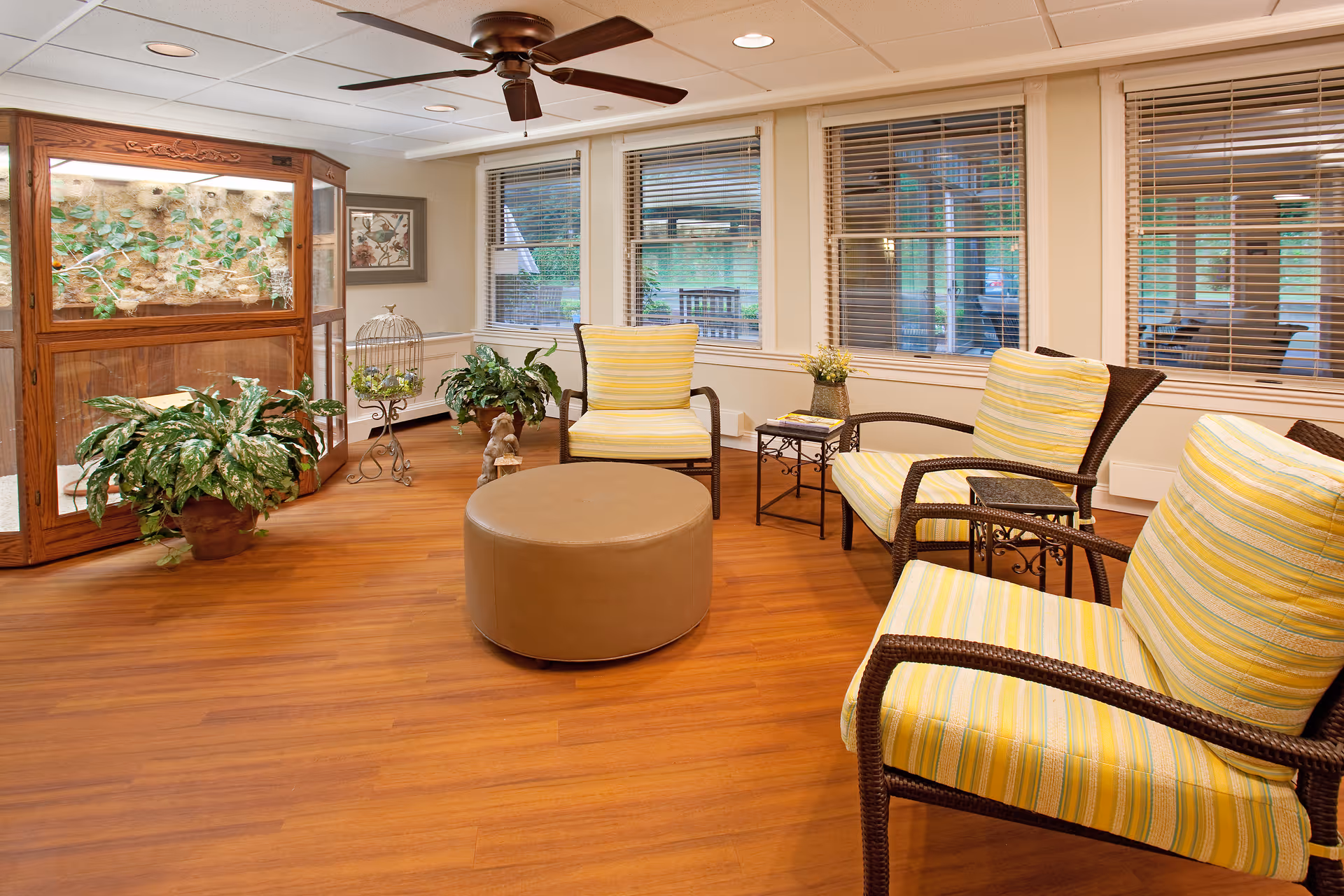 A cozy sitting area with four wicker chairs featuring yellow and white striped cushions arranged around a round brown ottoman. The room has wooden flooring, large windows with blinds, several potted plants, a decorative birdcage, and a wooden display cabinet with greenery inside. A ceiling fan is mounted above.