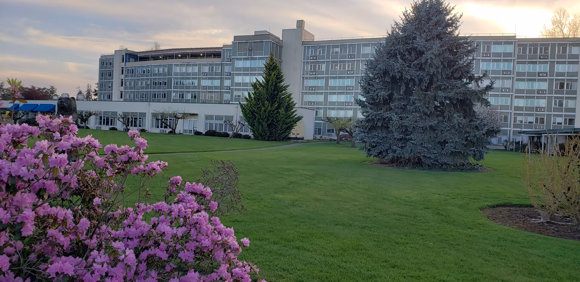 Wide front view of a multi-story residential building set behind a green lawn with pink flowering shrubs and a large evergreen tree.
