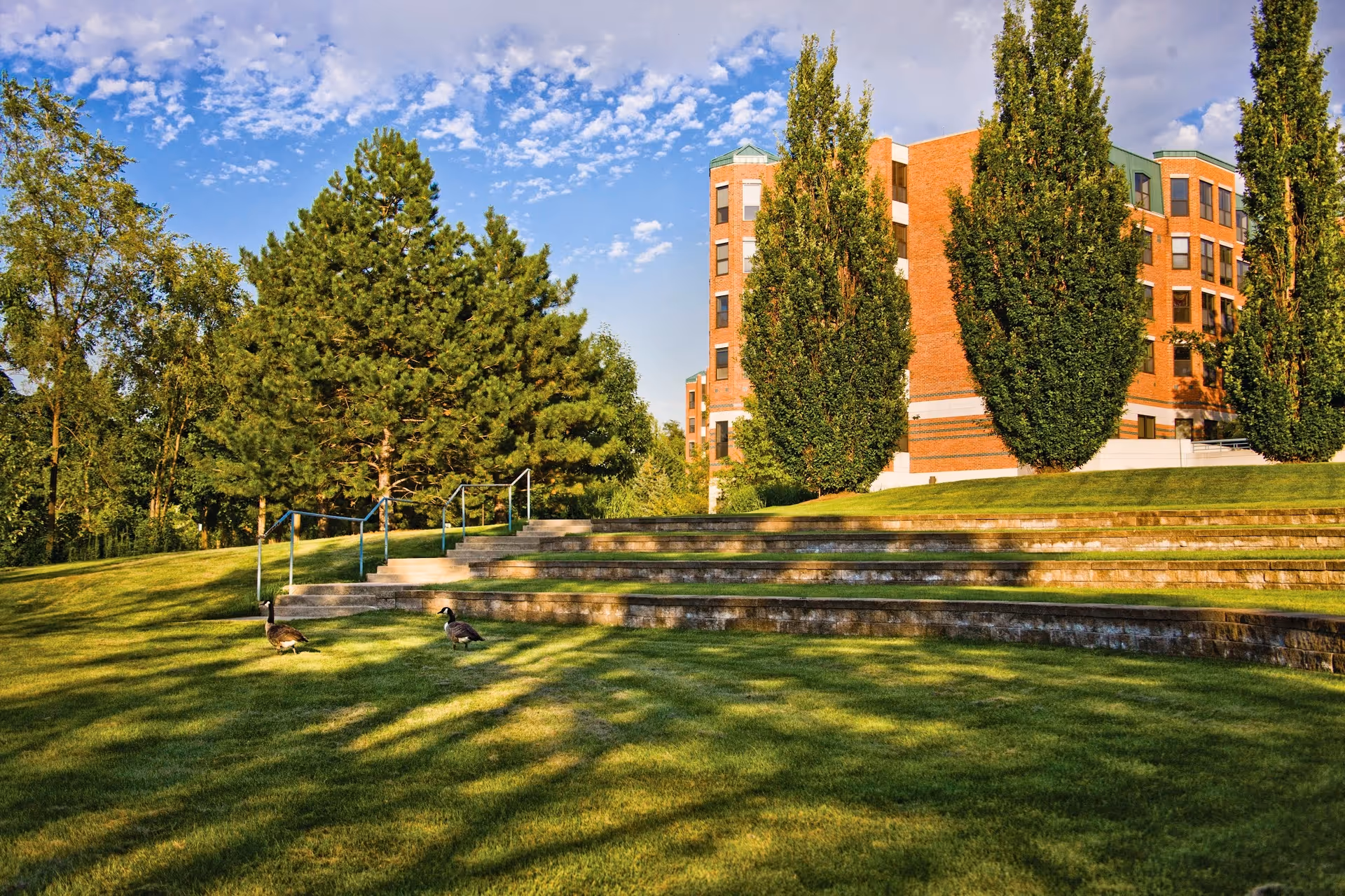 Outdoor view of a senior living facility named Oak Trace with a well-maintained grassy area, stone steps, tall trees, and a brick building in the background under a partly cloudy sky. Two geese are walking on the grass near the steps.