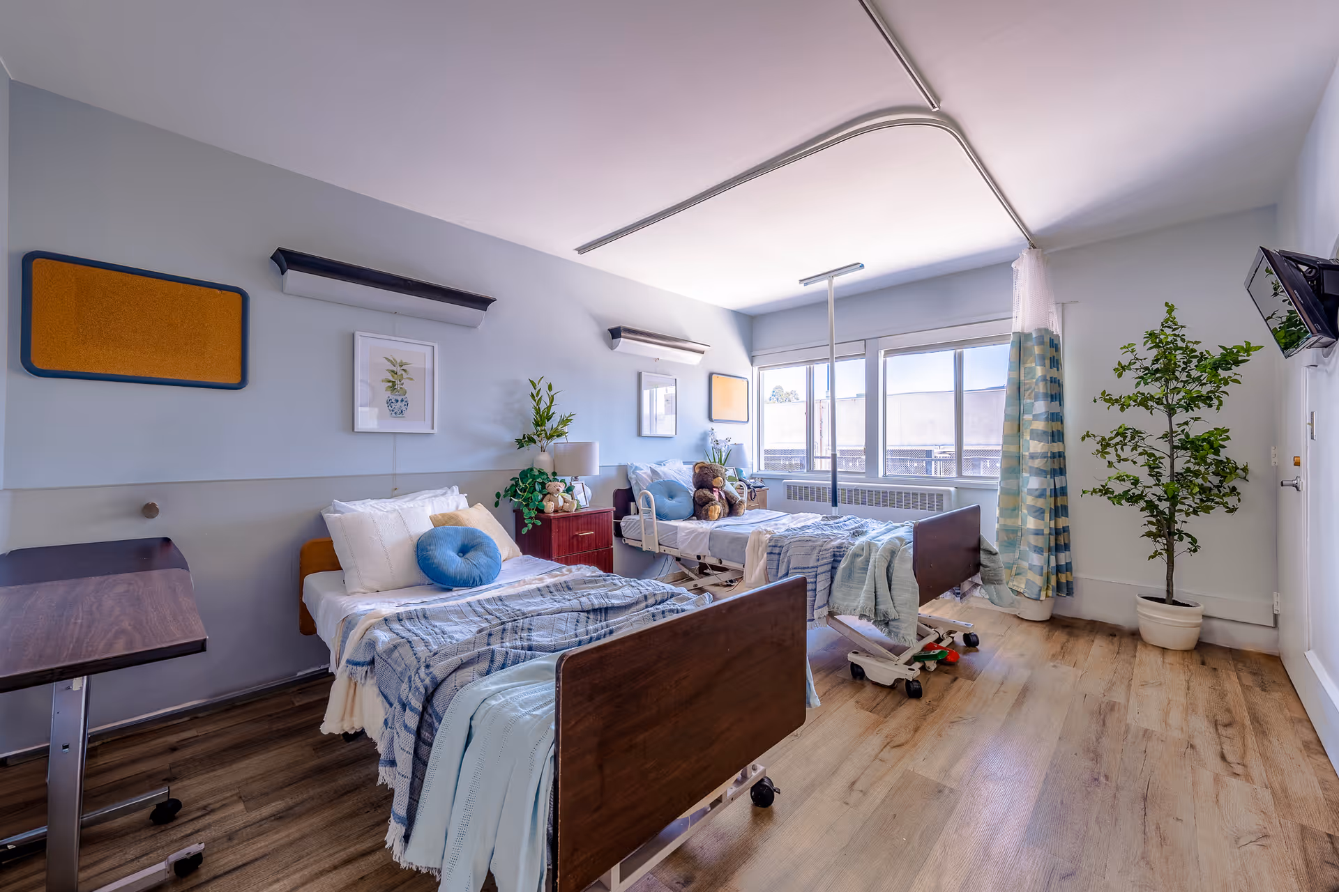 Bright shared senior-care bedroom with two hospital-style beds, bedside tables, large window and potted plant.