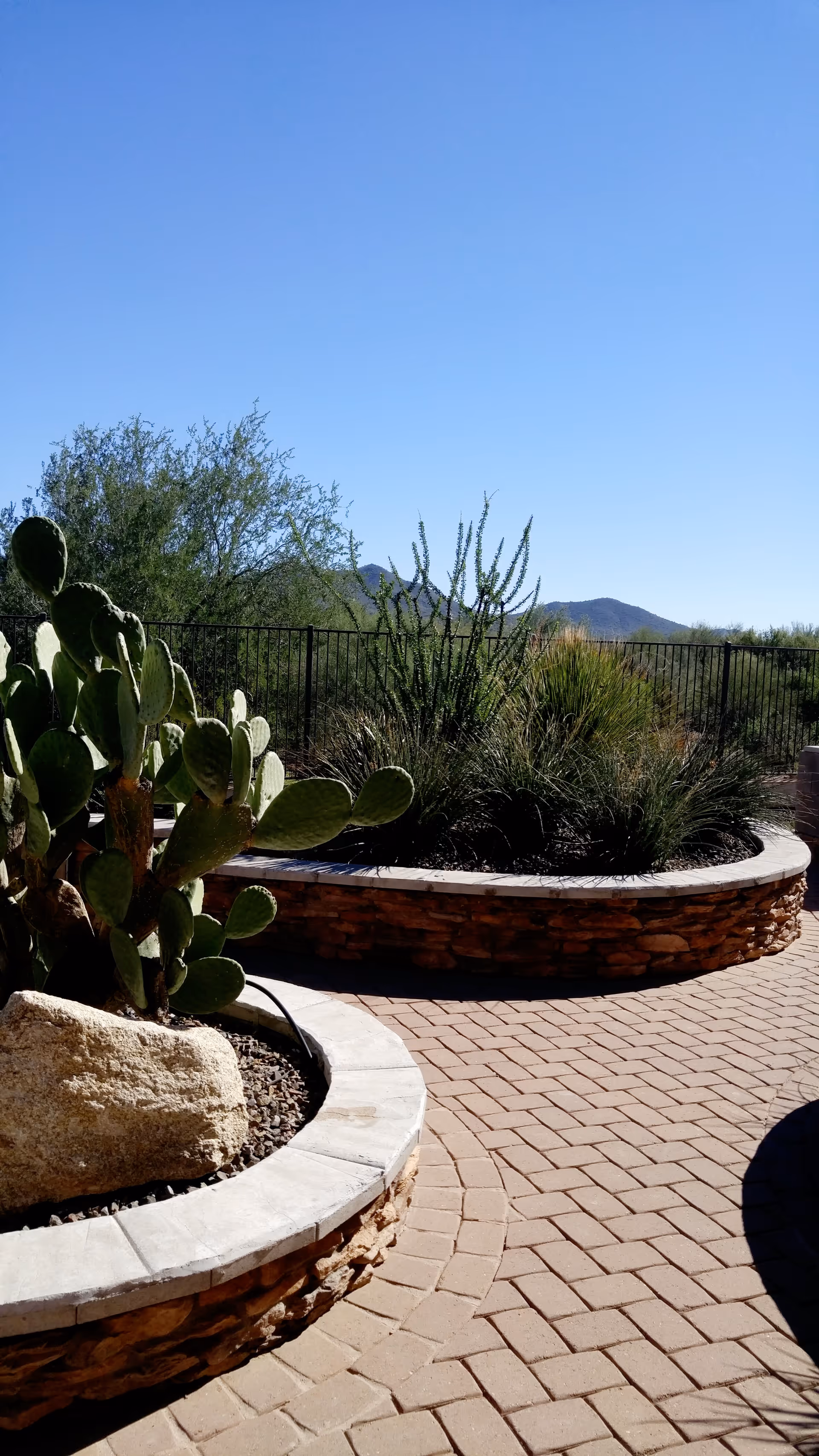 Outdoor patio area with raised stone planters containing desert plants including cacti and shrubs, with a clear blue sky and distant mountains in the background.