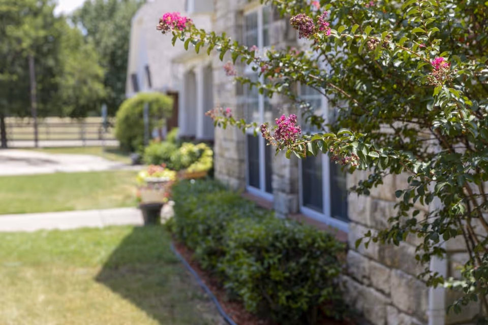 Close-up of pink flowers on a bush next to a stone building with windows, with a green lawn and a pathway in the background under a sunny sky.