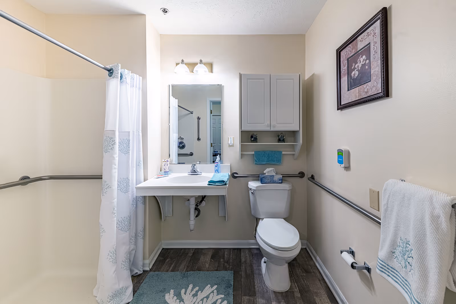 Accessible bathroom with a sink and mirror, toilet, walk-in shower with curtain, grab bars, and wall cabinet.