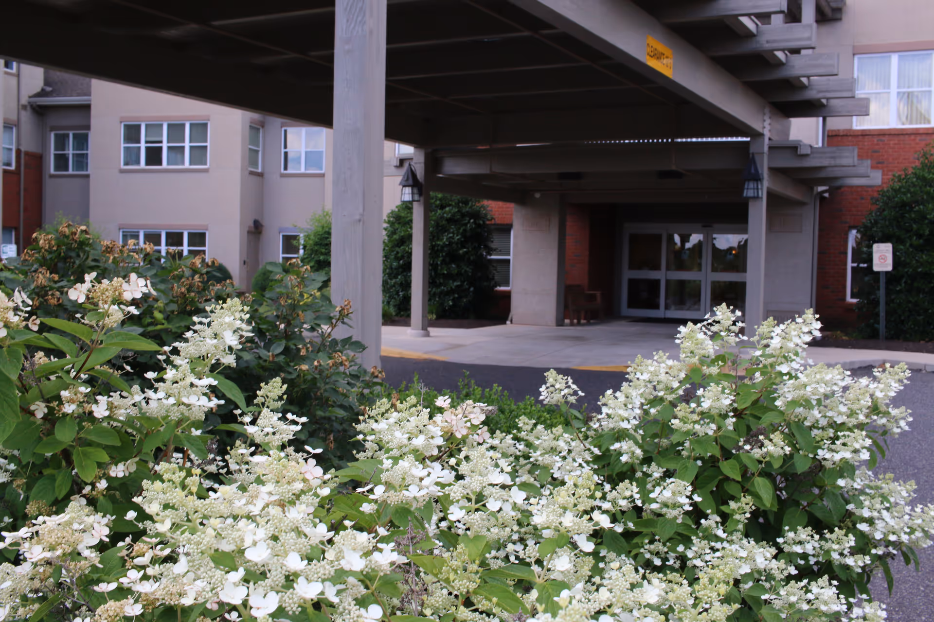 Entrance of a senior living facility with a covered drop-off area, surrounded by blooming white flowers and green bushes in the foreground. The building has multiple windows and a mix of beige and red brick exterior walls.