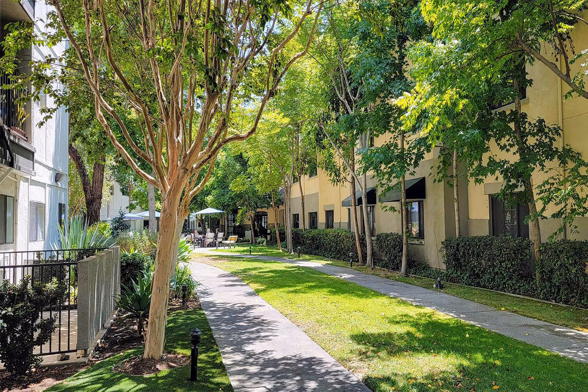 Sunlit tree-lined courtyard pathway between apartment buildings with lawn and outdoor seating in the distance.