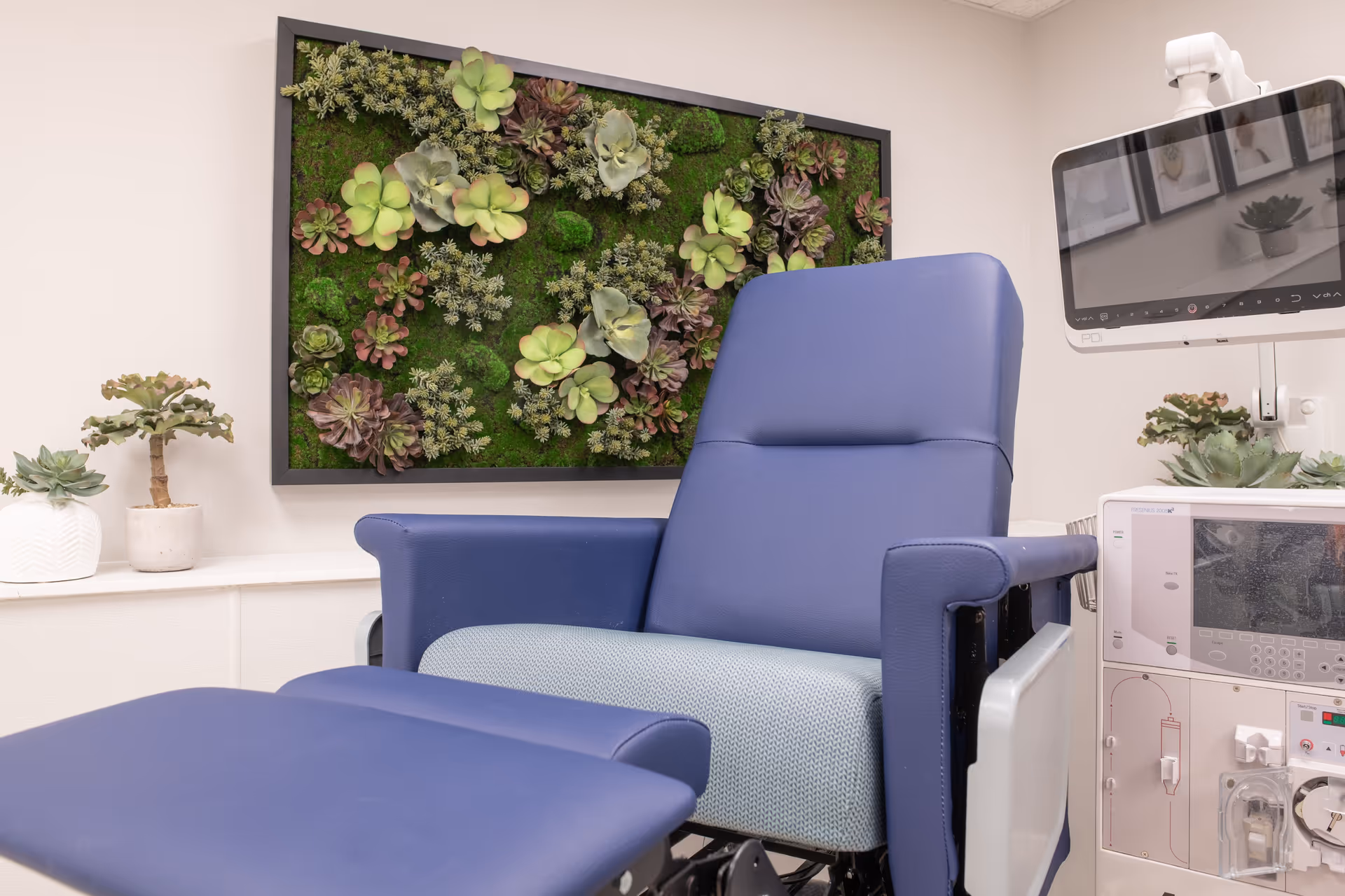 A medical recliner chair with blue upholstery in a clinical room, next to a dialysis machine and a monitor. The wall behind features a framed vertical garden with various green and purple succulents, and there are small potted succulent plants on a shelf.