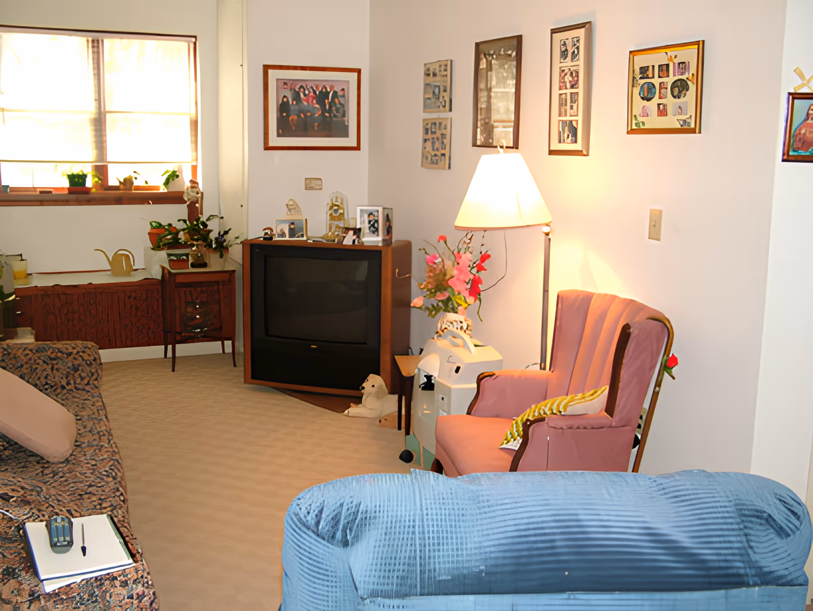 Cozy living room with upholstered armchairs and sofa, a TV console, floor lamp, framed photos on the wall, and potted plants on the window ledge.