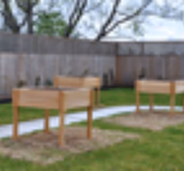 Outdoor garden area with three raised wooden planter boxes on a grassy lawn, a curved concrete pathway, and a wooden fence in the background with trees beyond.