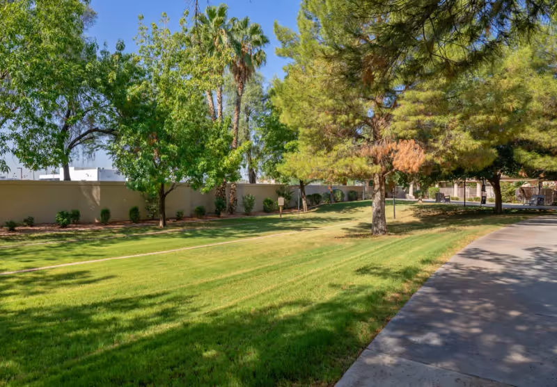 Well-maintained grassy courtyard with trees and palm trees, a paved walkway, and a low wall under a clear blue sky.