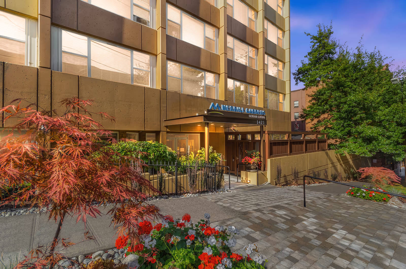 Exterior view of Merrill Gardens senior living facility entrance with a paved walkway, landscaped plants, and trees under a clear sky at dusk.
