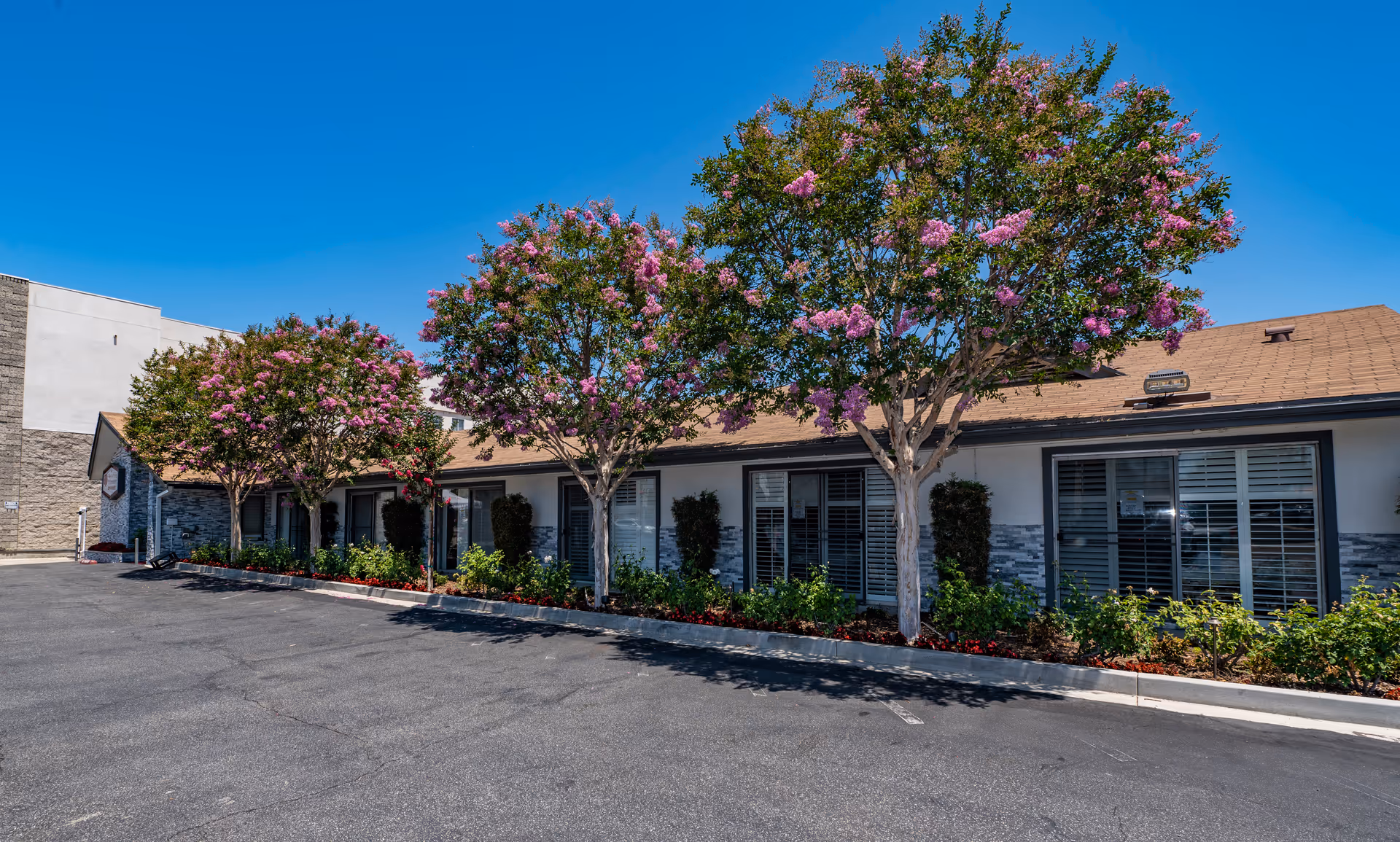 Exterior view of Monterey Park Convalescent Hospital showing a single-story building with multiple windows, a row of flowering trees with pink blossoms, and a clear blue sky above. The foreground features a paved parking area.