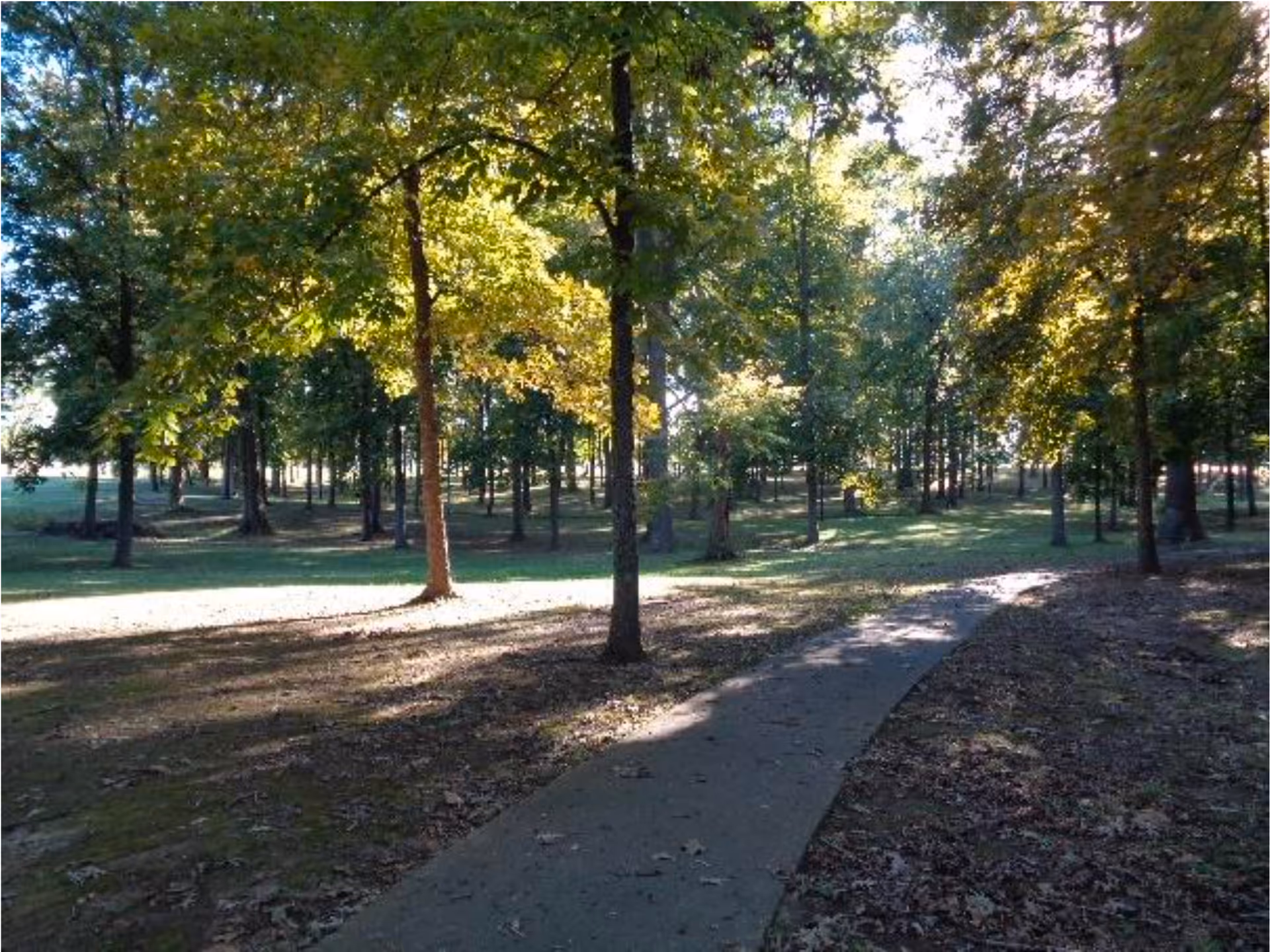 A paved walking path winding through a wooded area with numerous trees and sunlight filtering through the leaves, creating a serene outdoor environment.