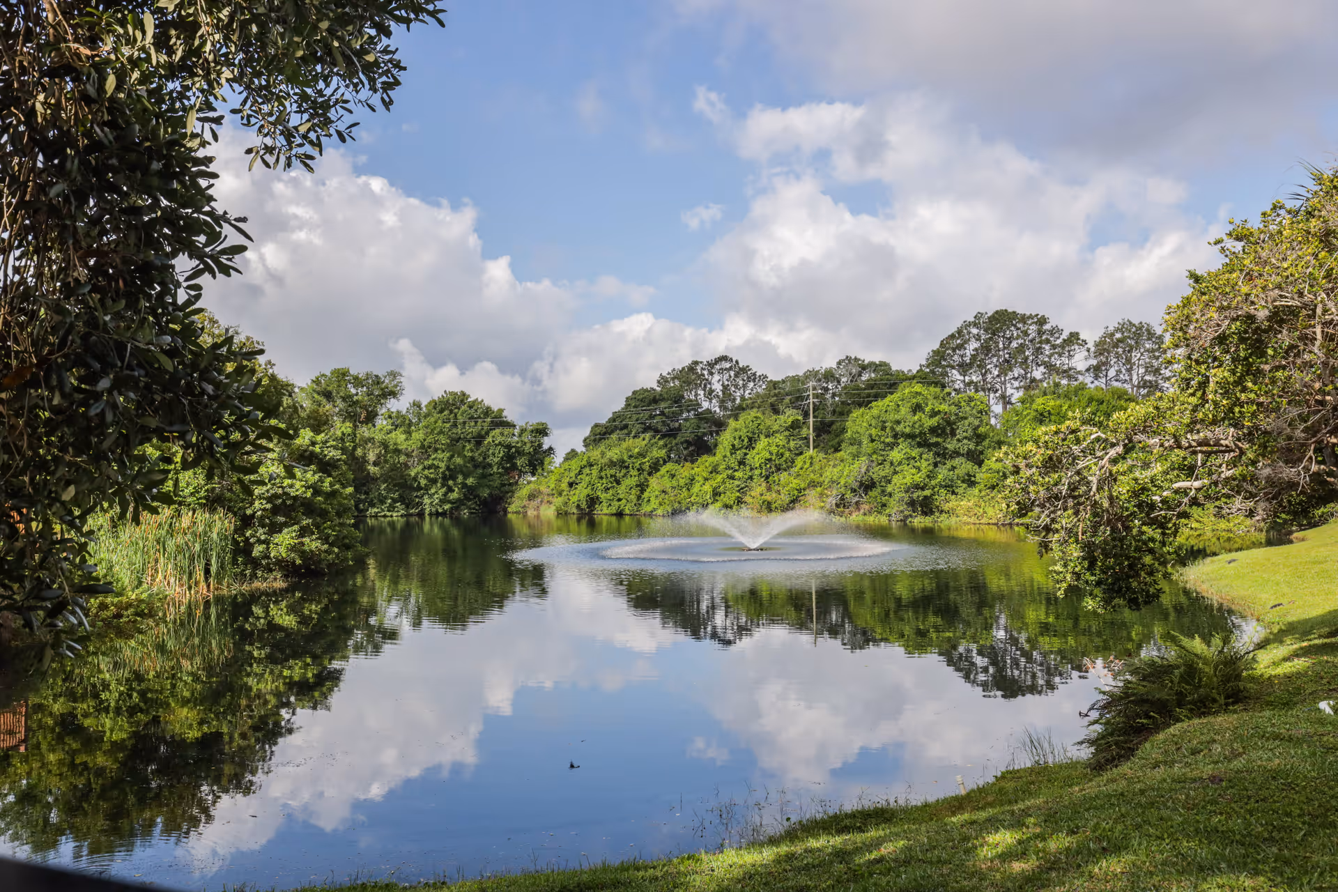 A serene outdoor scene featuring a pond with a water fountain in the center, surrounded by lush green trees and grass under a partly cloudy blue sky.