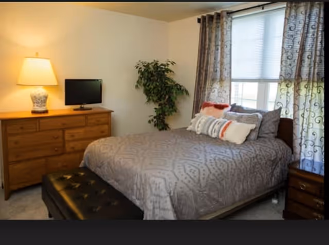 A bedroom with a bed covered in a gray patterned comforter and several decorative pillows. Next to the bed is a wooden nightstand with a lamp and a small TV on a wooden dresser. A potted plant is placed in the corner near a window with patterned curtains.