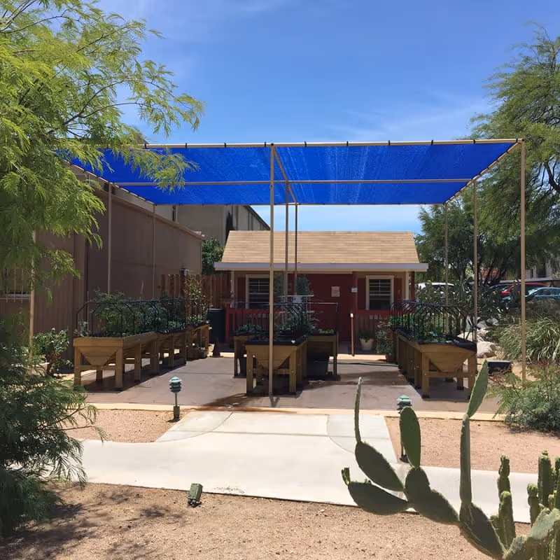 Outdoor garden area with raised planter beds under a blue shade canopy, surrounded by desert landscaping including cacti and trees, with a small building in the background.
