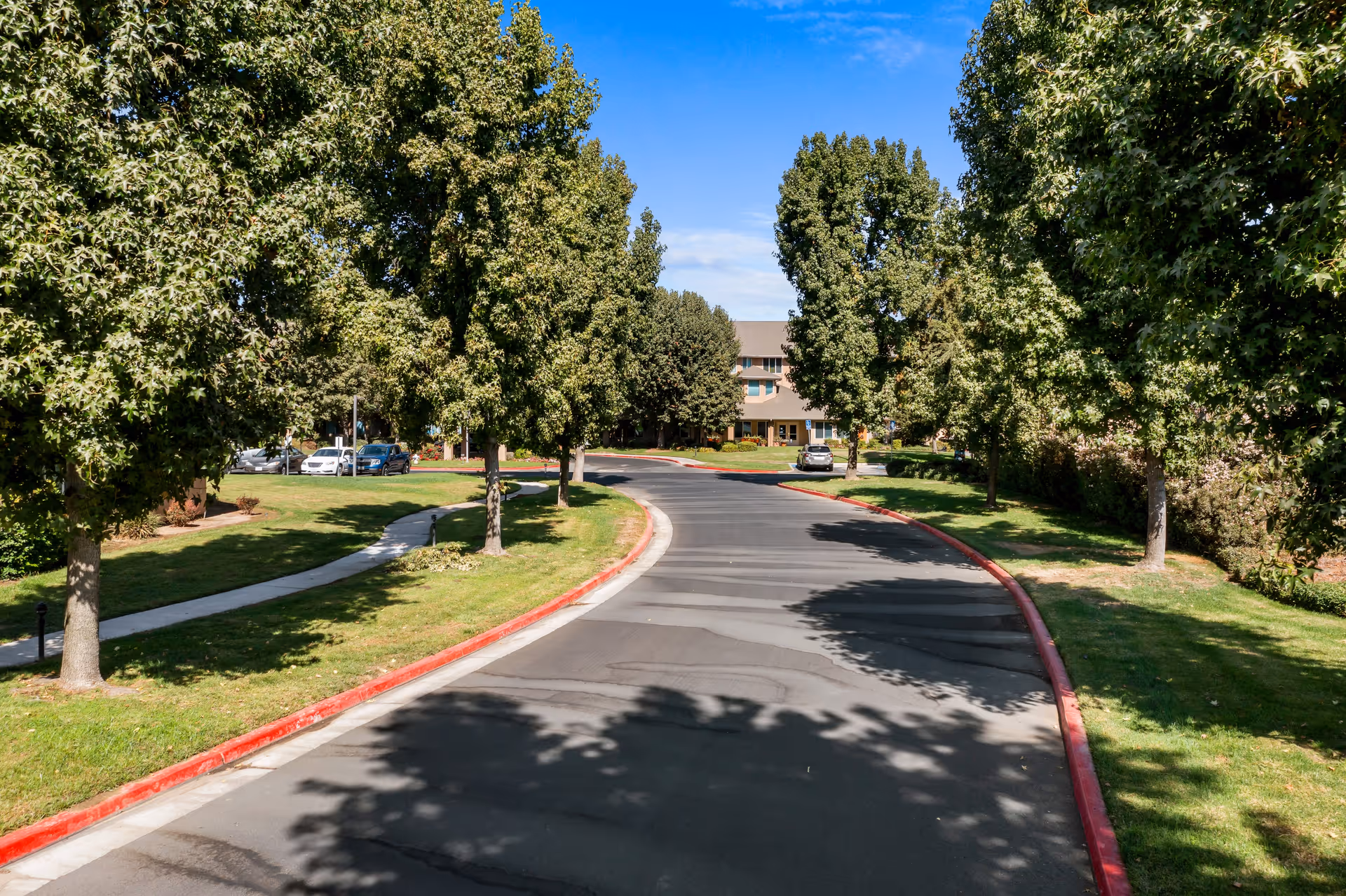 A paved driveway lined with green trees and grass on both sides leading to a building in the background under a blue sky with some clouds.
