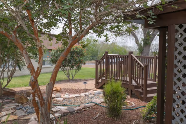 A landscaped outdoor area featuring a small wooden staircase with railings leading up to a raised platform, surrounded by trees, bushes, rocks, and a garden hose on the ground.