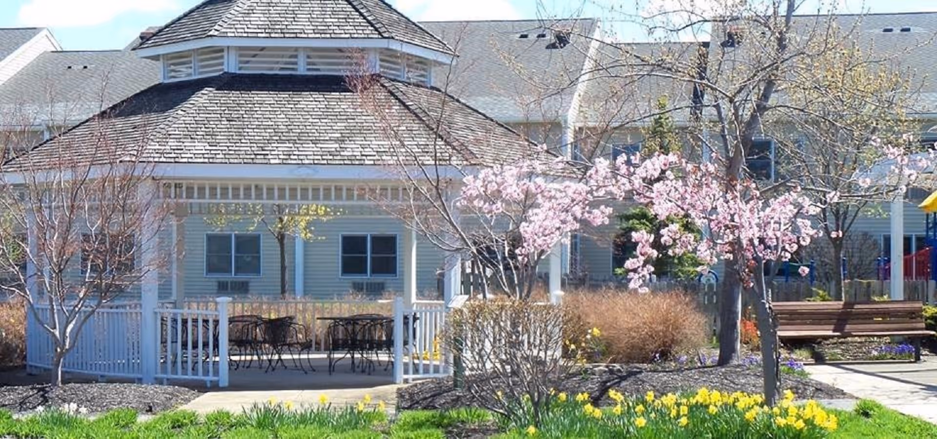 Outdoor garden area at Weinberg Campus featuring a white gazebo with a shingled roof, surrounded by blooming trees with pink flowers, yellow daffodils, shrubs, and benches. Residential buildings are visible in the background under a clear sky.