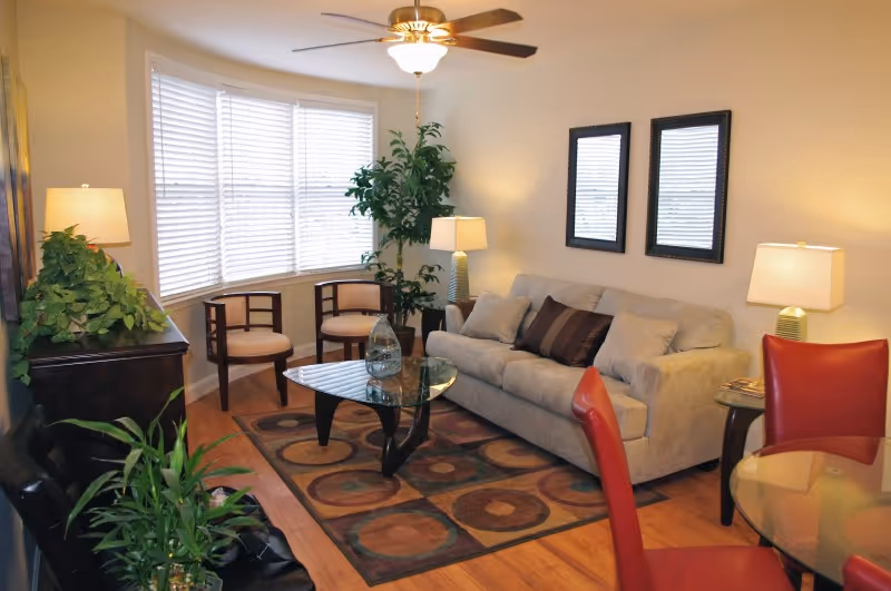 A cozy living room with a beige sofa adorned with cushions, two framed mirrors on the wall above it, a glass coffee table on a patterned rug, two wooden chairs near a large bay window with blinds, several green plants, and multiple lamps providing warm lighting.