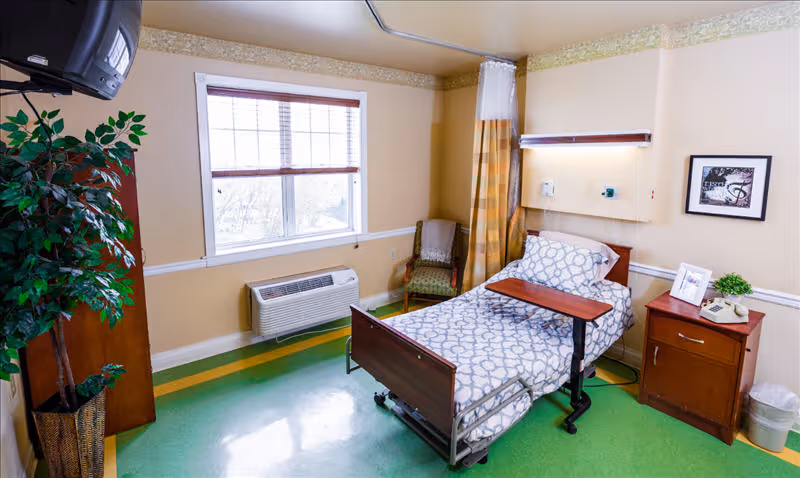 A clean and well-lit hospital-style bedroom with a single bed featuring patterned bedding, a wooden bedside table with a telephone and a small plant, a green patterned armchair, a large window with blinds, a wall-mounted TV, and a potted plant in the corner. The floor is green with yellow accents, and there is a privacy curtain beside the bed.