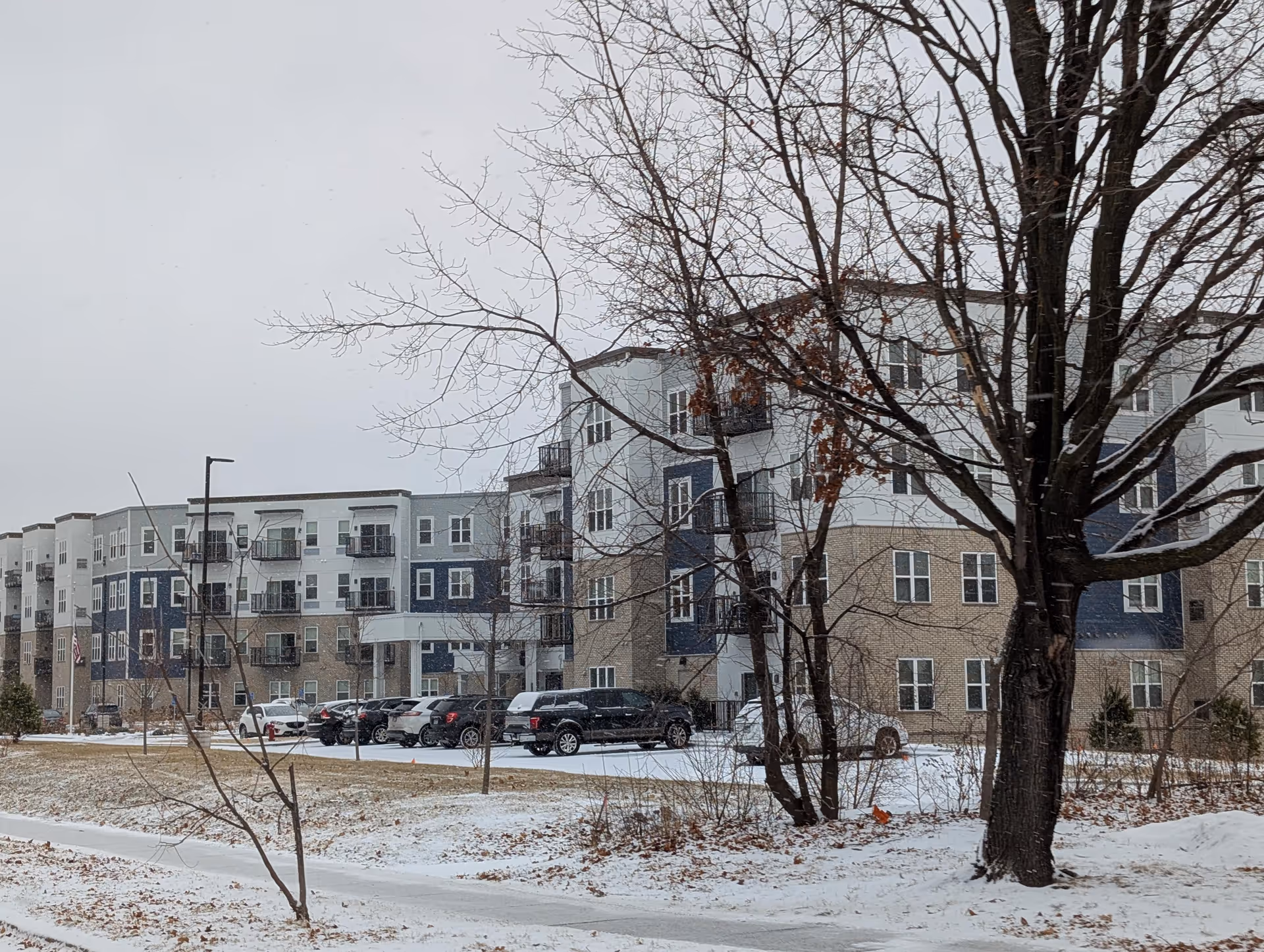 A snowy scene with trees and parked cars in front of a multi-story senior living building.
