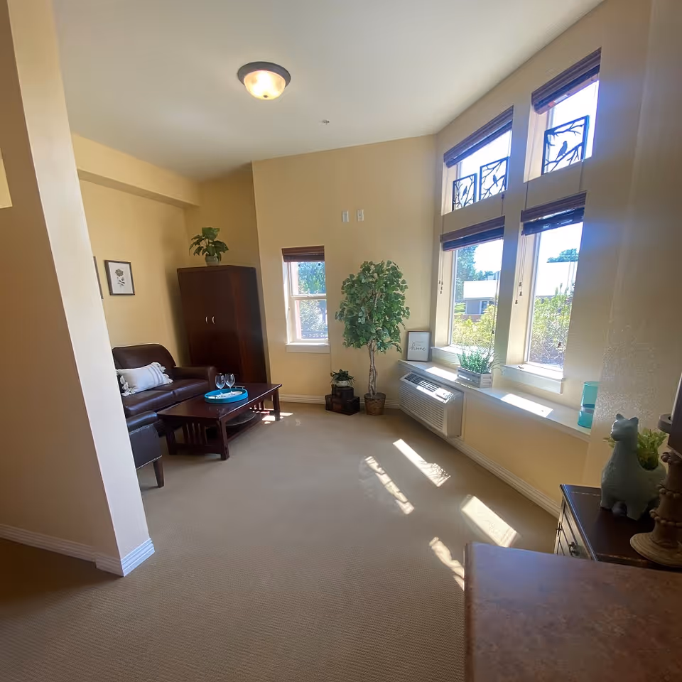 Sunlit living room with a leather sofa, coffee table, tall windows, and potted plants.