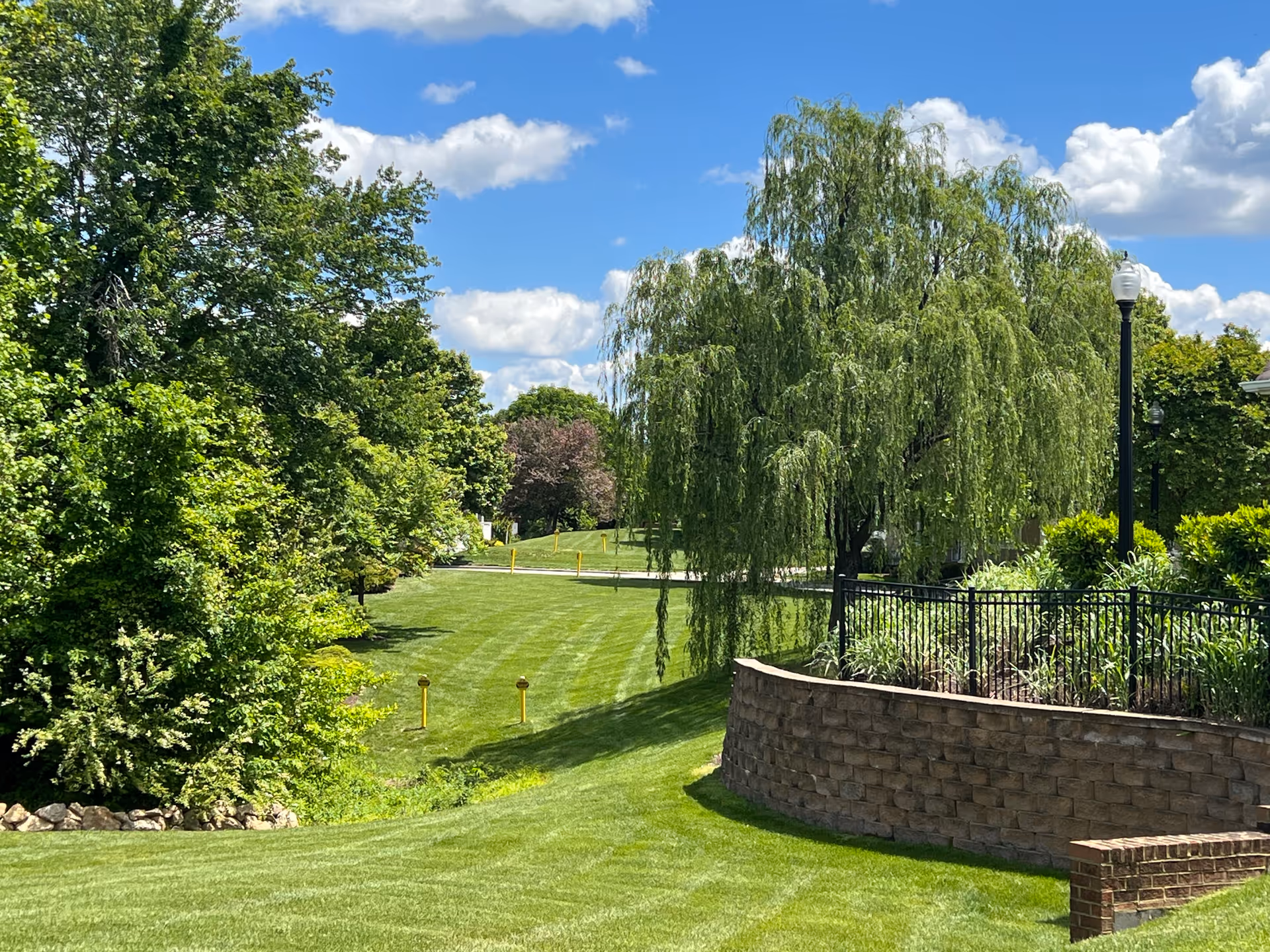 A lush green outdoor area with well-maintained grass, various trees including a large weeping willow, and a stone retaining wall with a black metal fence. The sky is blue with scattered white clouds, and there are street lamps visible near the fence.