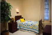 A neatly made single bed with a blue and yellow patterned quilt and a yellow pillow in a small bedroom. Next to the bed is a dark wooden nightstand with a lamp and a small plant. There is a large potted plant in the corner and a window with blinds partially open, letting in natural light.