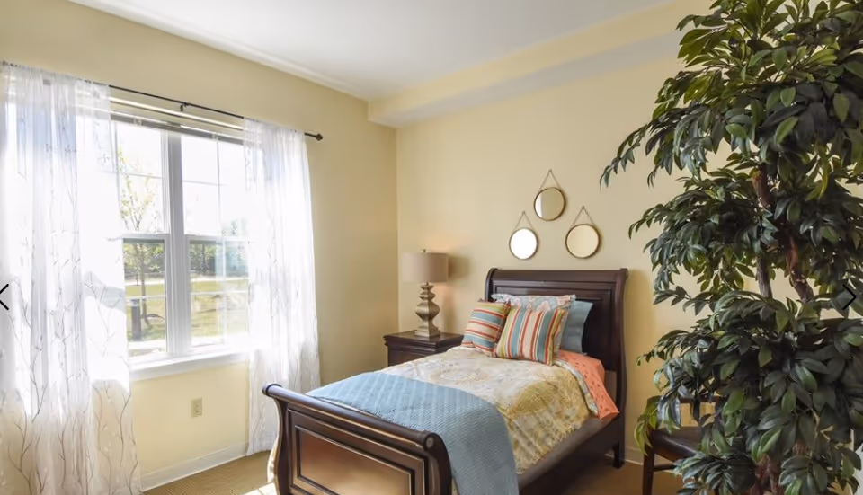 Sunlit bedroom with a single wooden bed dressed in colorful pillows and a throw, a bedside table with a lamp, three round mirrors above the headboard, a large window with sheer curtains, and a tall potted plant.
