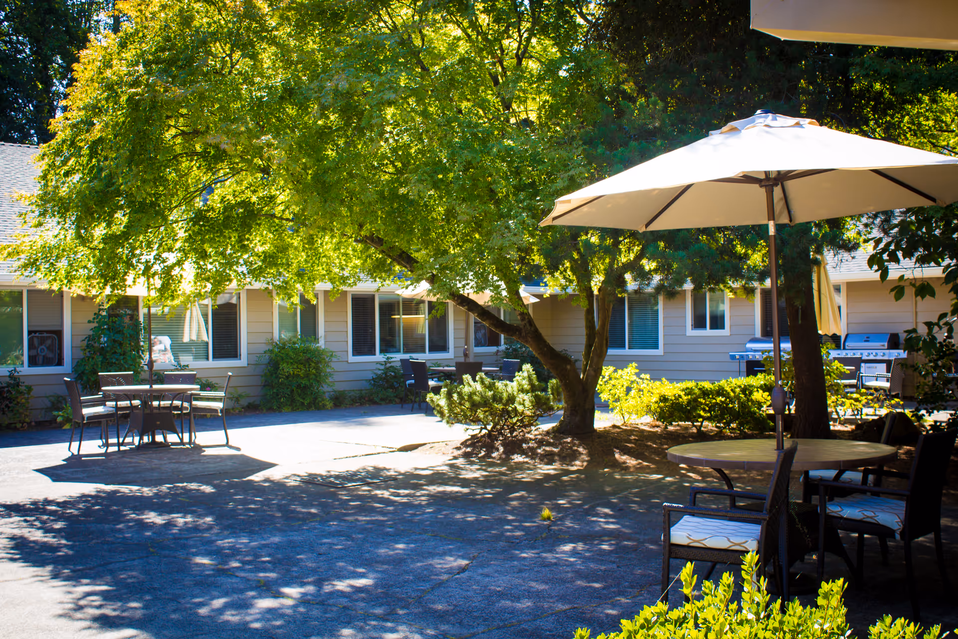 Outdoor courtyard area at Avamere Crestview of Portland featuring patio tables with chairs and umbrellas, surrounded by trees and shrubs, with the building visible in the background.