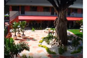 Sunlit courtyard with a large central tree, tiled pathways, potted plants, and a two-story building with red awnings.