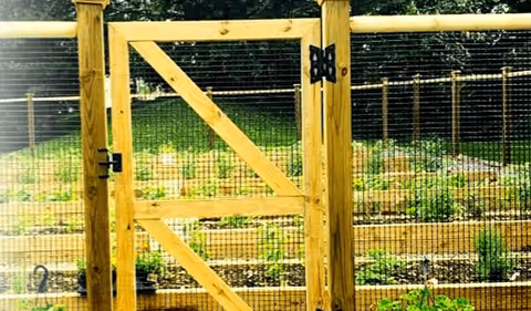 A wooden garden gate with wire mesh, leading to a garden area with raised planting beds and various plants growing. The background shows more greenery and trees.