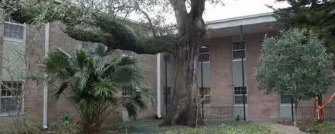 Exterior view of Audubon Retirement Village with a large tree and landscaping.