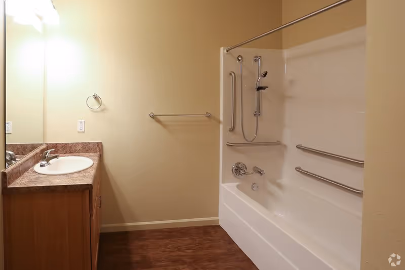 A bathroom with a wooden vanity featuring a sink and countertop on the left, a large mirror above it, and a bathtub with multiple grab bars and a handheld showerhead on the right. The walls are painted beige and the floor has a wood-like finish.