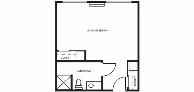 Floor plan of a studio apartment layout showing a combined living and sleeping area, a bathroom with a shower, toilet, and sink, and two closets near the entrance and bathroom.