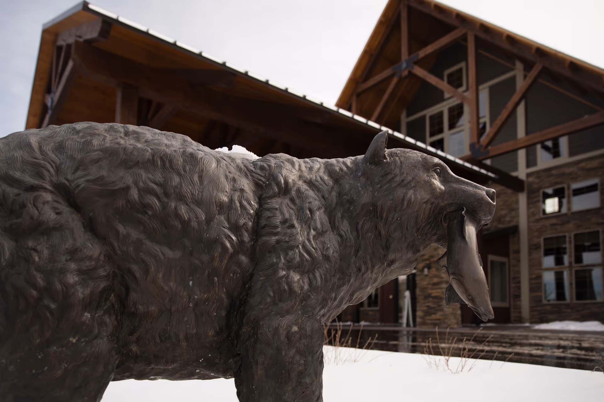 Bronze bear statue holding a fish stands in the snow outside a lodge-style senior living building entrance.