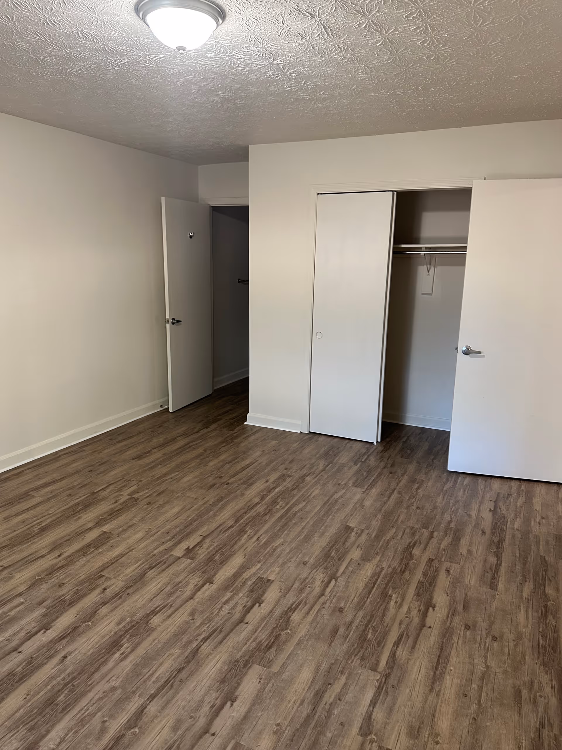 Empty room with wood-patterned flooring, white walls, a ceiling light fixture, an open closet with sliding doors, and an open door leading to another room.