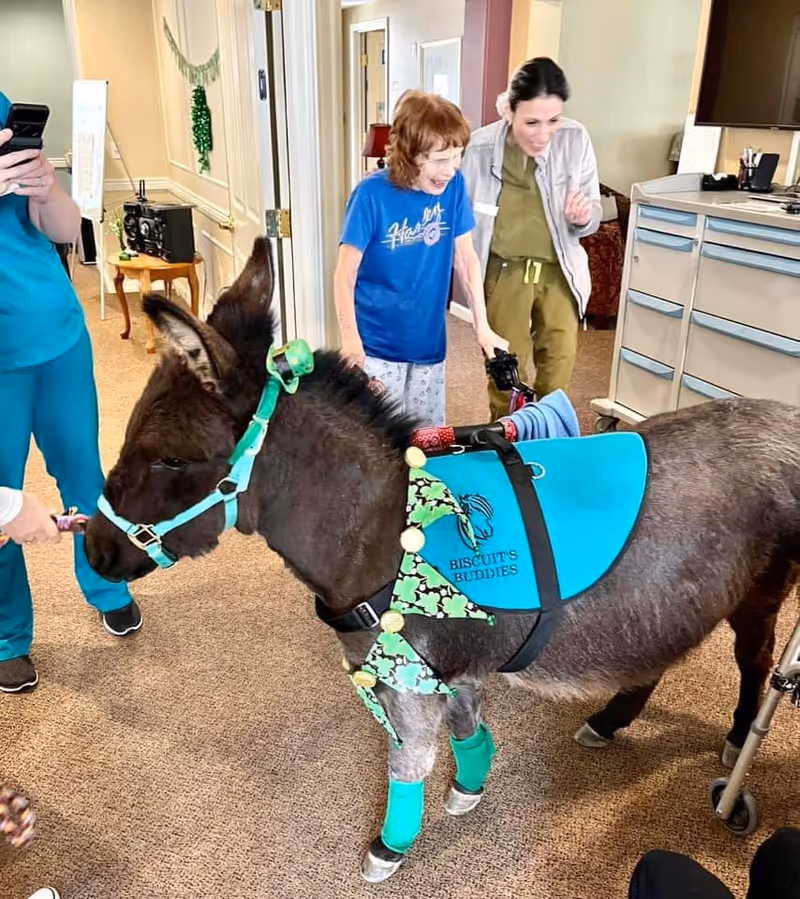 A small donkey wearing a turquoise vest with the text 'Biscuit's Buddies' and green accessories is inside a senior living facility. Two women, one elderly and one younger, are interacting happily with the donkey. The elderly woman is smiling and holding a walker, while the younger woman stands behind her. Another person in scrubs is partially visible, holding a phone and feeding the donkey.