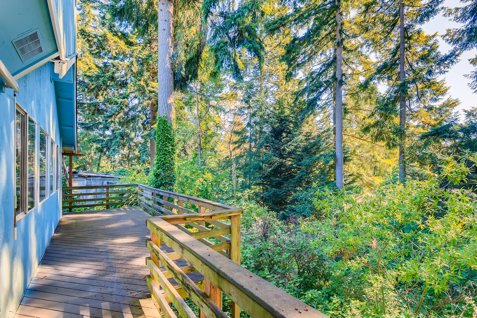 Wooden deck attached to a light blue building, surrounded by tall green trees and dense foliage under a clear sky.
