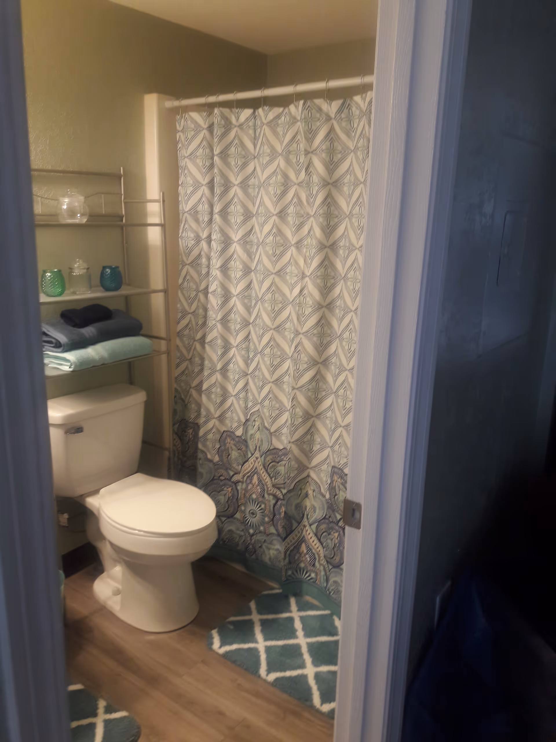 Small bathroom showing a toilet, shelving with folded towels and decorative jars, a patterned shower curtain, and blue-green bath rugs.