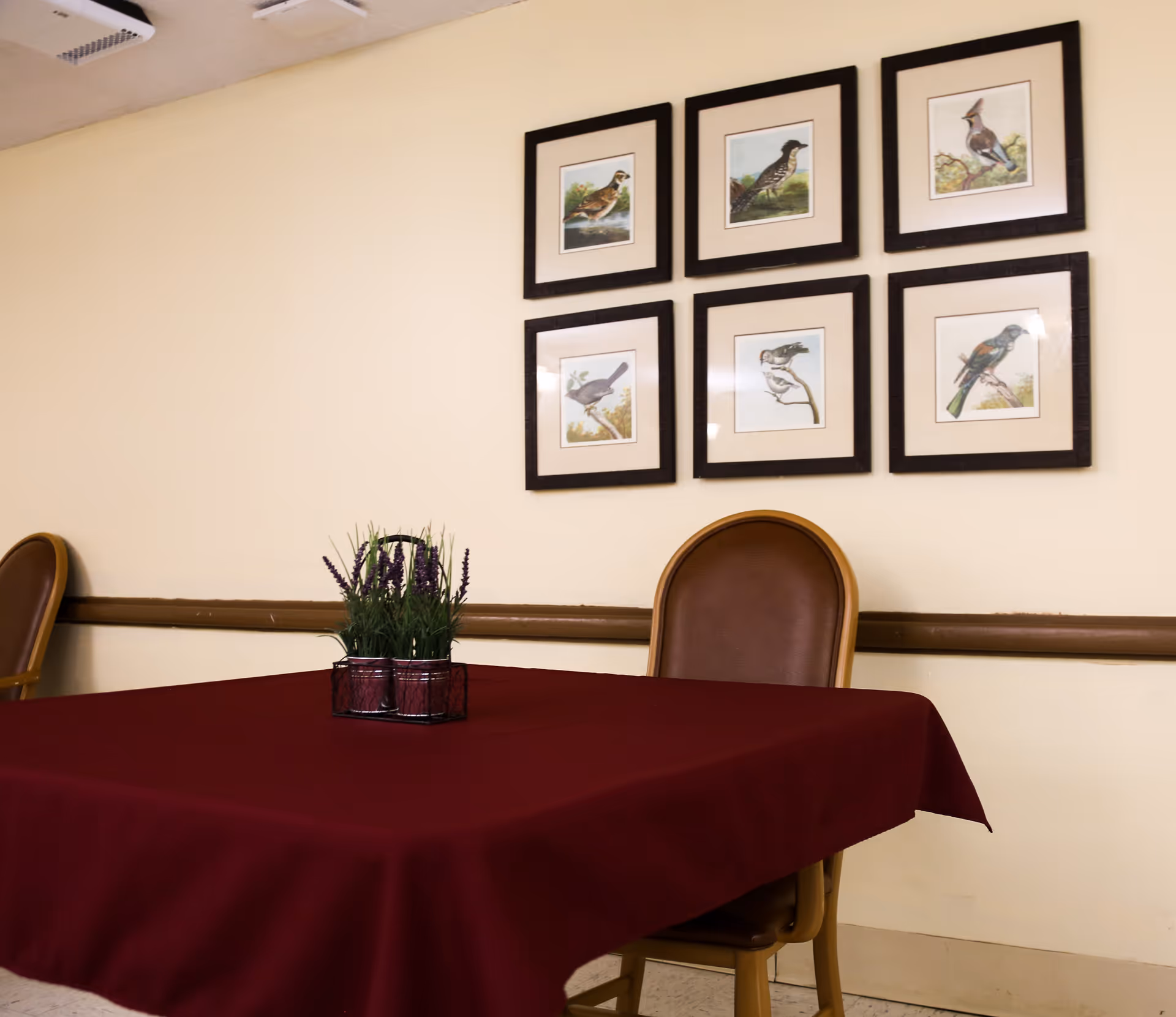 A dining area with a table covered by a dark red tablecloth and a small plant centerpiece. Two brown chairs with wooden frames are positioned around the table. On the wall behind the table, there are six framed pictures of various birds arranged in two rows of three.