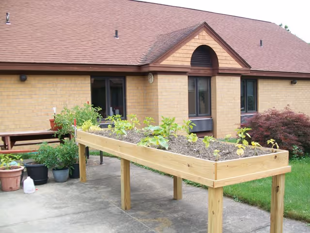 Raised wooden garden bed with small plants growing in soil, placed on a concrete patio outside a brick building with a brown shingled roof. Several potted plants and a picnic table are visible nearby.