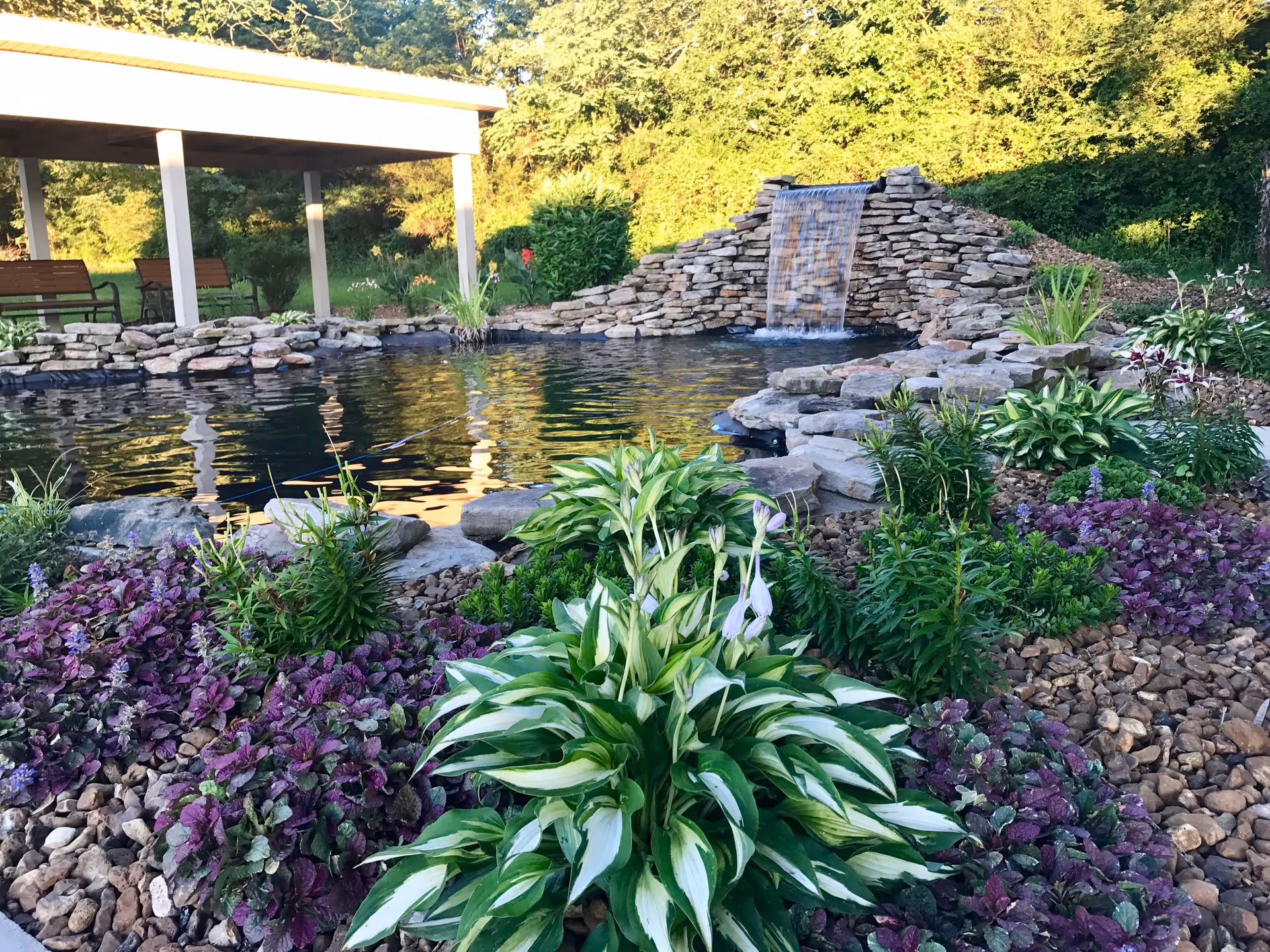 A landscaped outdoor garden area featuring a small pond with a stone waterfall. Surrounding the pond are various green and purple plants, rocks, and a covered seating area with benches in the background. Trees and dense greenery are visible beyond the garden.