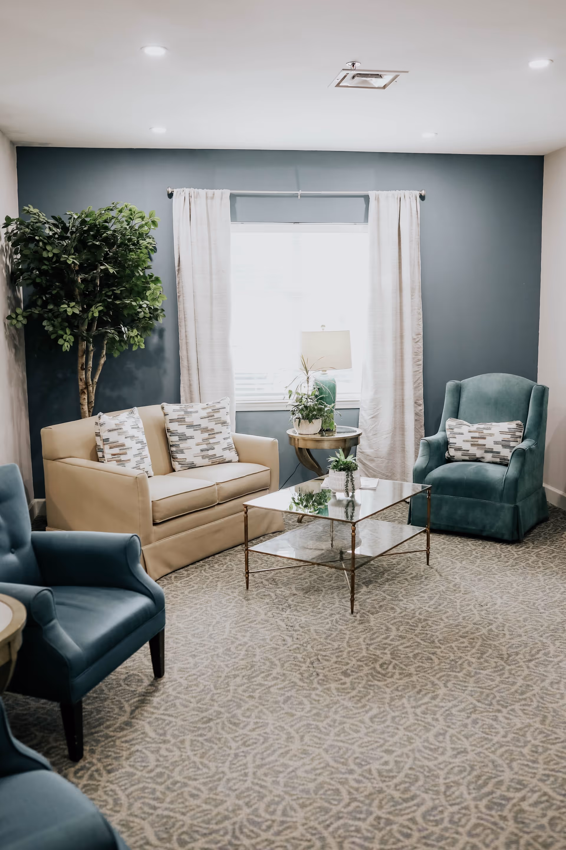 A cozy living room with a beige loveseat with patterned pillows, two teal armchairs, a glass coffee table with plants on it, a side table with a lamp and plants, a large window with white curtains, and a tall green indoor plant in the corner. The walls are painted teal and white, and the floor is carpeted with a patterned design.