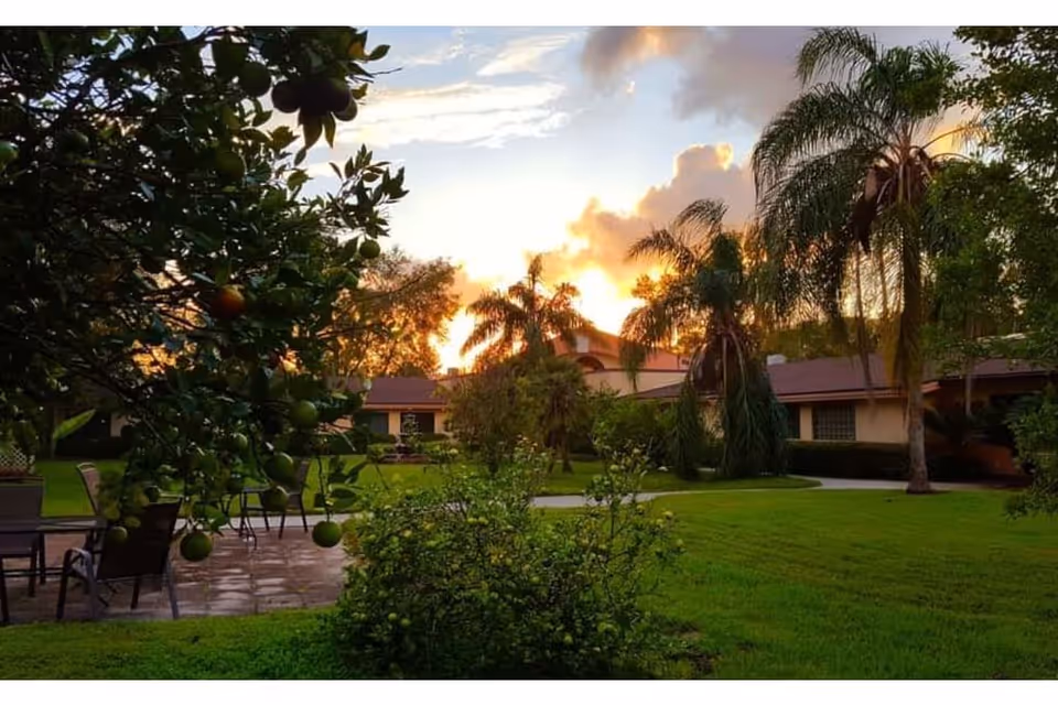 A lush outdoor garden area at sunset with green grass, palm trees, and fruit-bearing trees. There are patio chairs and tables on a paved area, with a single-story building in the background under a partly cloudy sky.