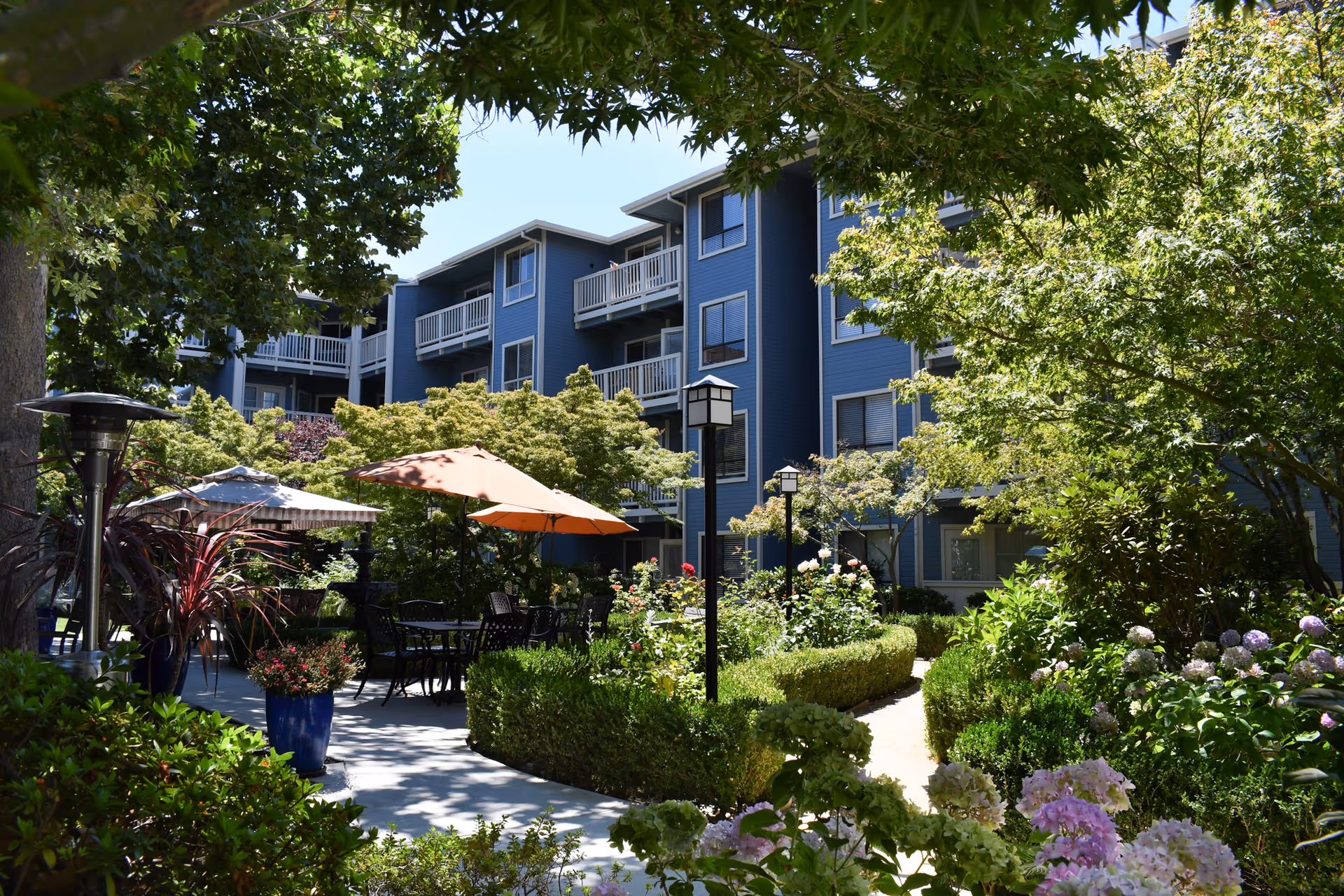 Outdoor garden area at Carlton Concord with lush greenery, flowering plants, and shrubs. There are several patio tables with umbrellas and black chairs arranged on a paved walkway. The background shows a blue multi-story building with balconies and windows, partially shaded by trees.