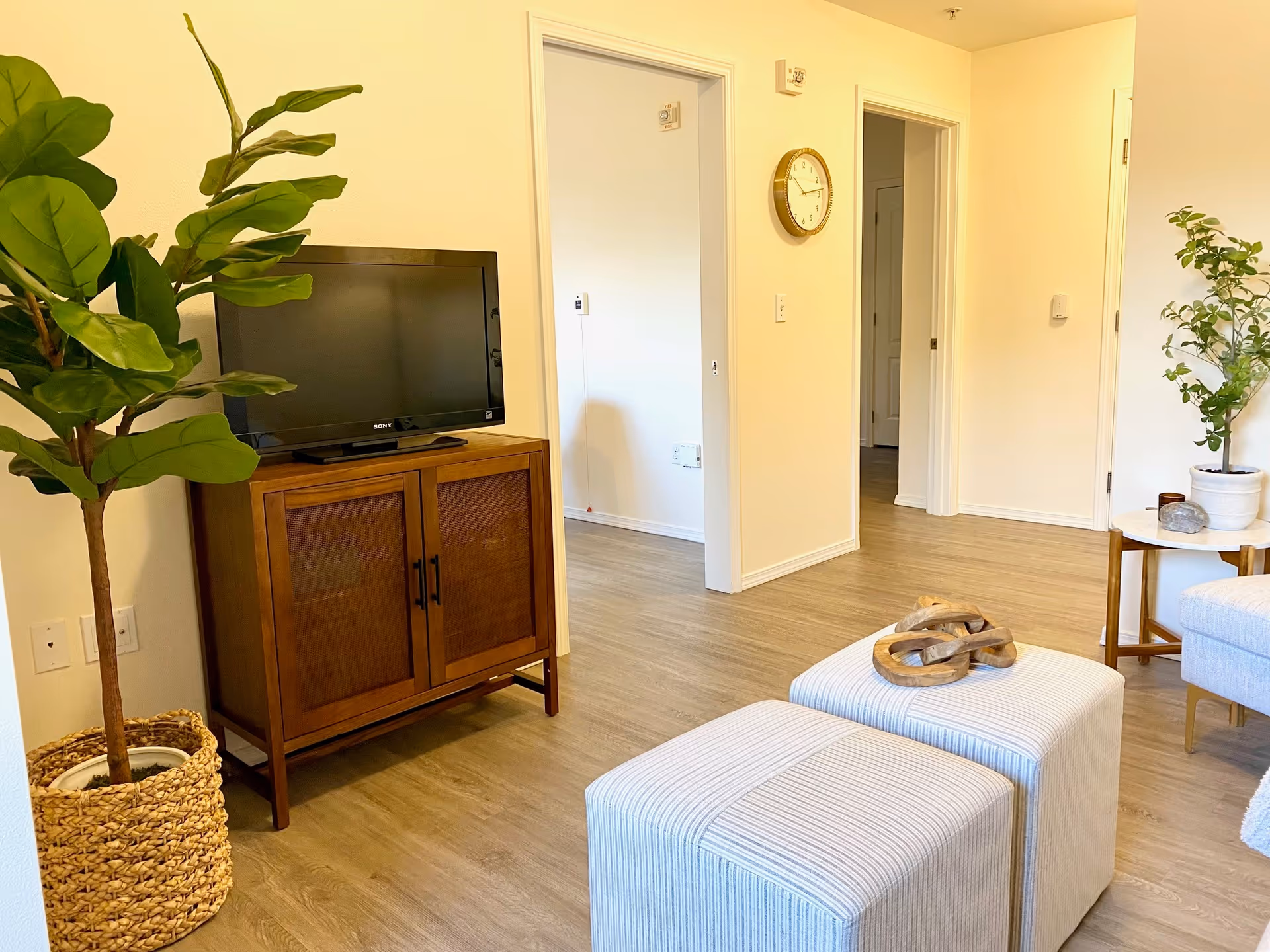 A bright living room area with light wood flooring, a wooden TV stand holding a flat-screen Sony television, two light-colored ottomans with a wooden decorative piece on top, a small side table with a potted plant and decorative items, and a large potted plant in a woven basket. The walls are light-colored with a round wall clock and two open doorways leading to other rooms.
