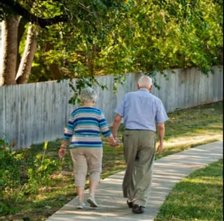 An elderly couple walking hand in hand on a curved sidewalk next to a wooden fence with trees and greenery around them.
