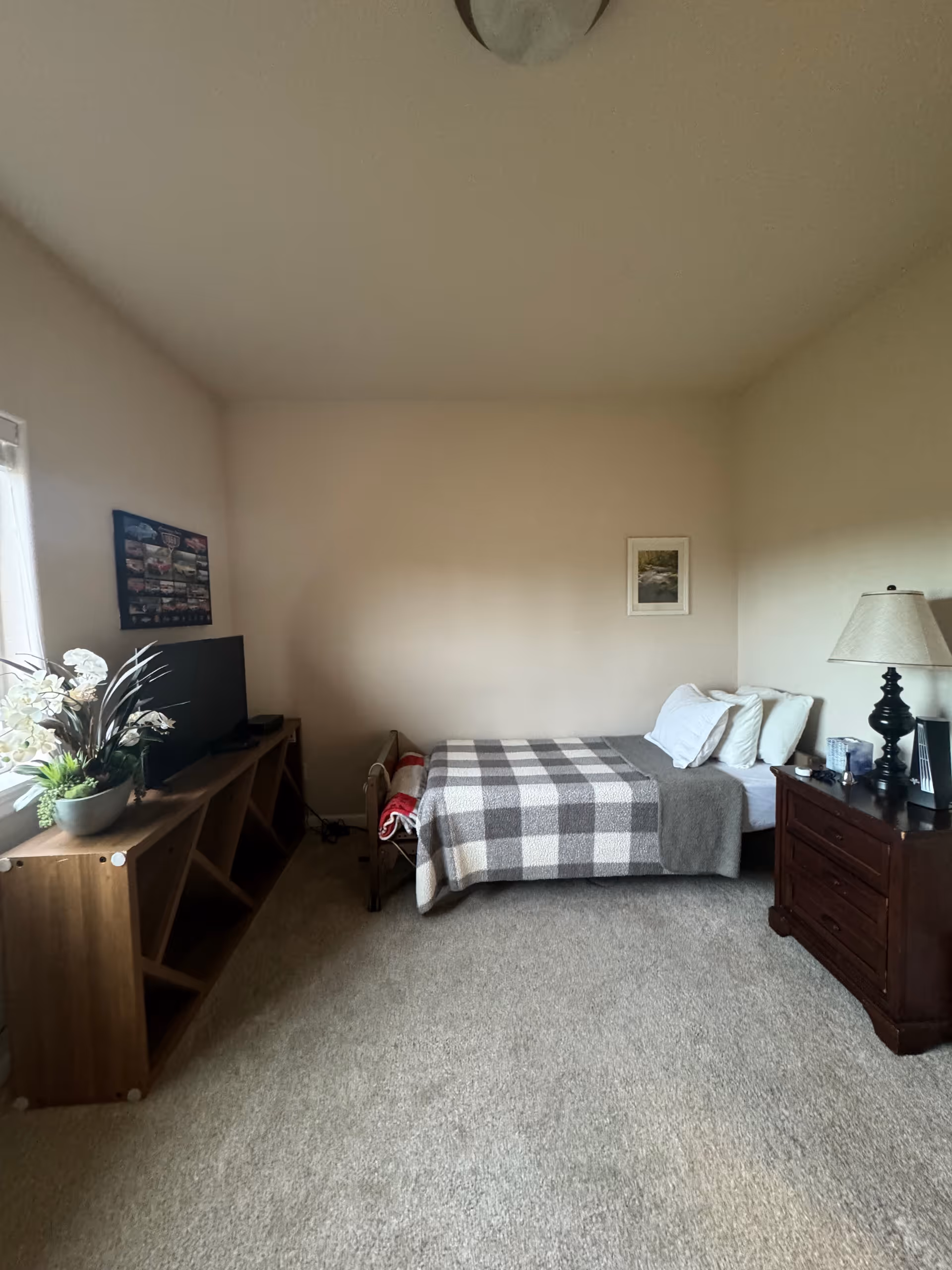 A small bedroom with a single bed covered with a gray and white checkered blanket and several pillows. To the right of the bed is a wooden nightstand with a lamp, a clock, and some small items. On the left side of the room, there is a wooden TV stand with a flat-screen TV and a potted plant with white flowers. The walls are plain with a small framed picture above the bed and a poster on the left wall. The room has beige carpet and a ceiling light fixture.